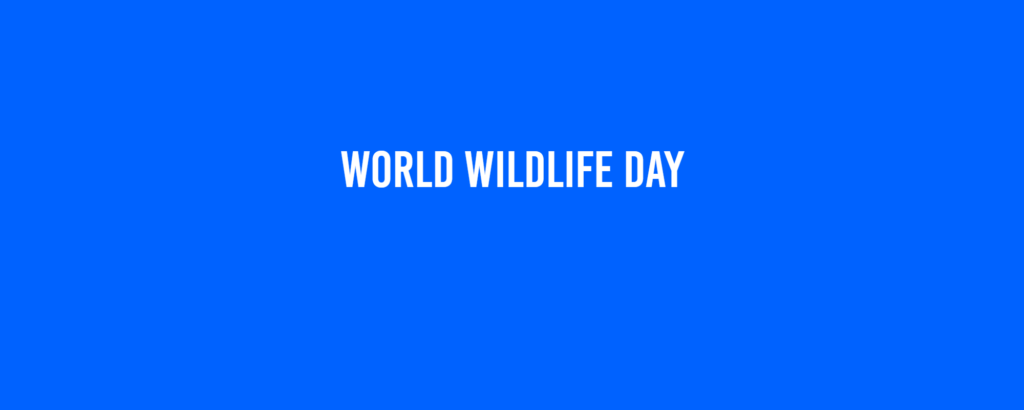 World Wildlife Day