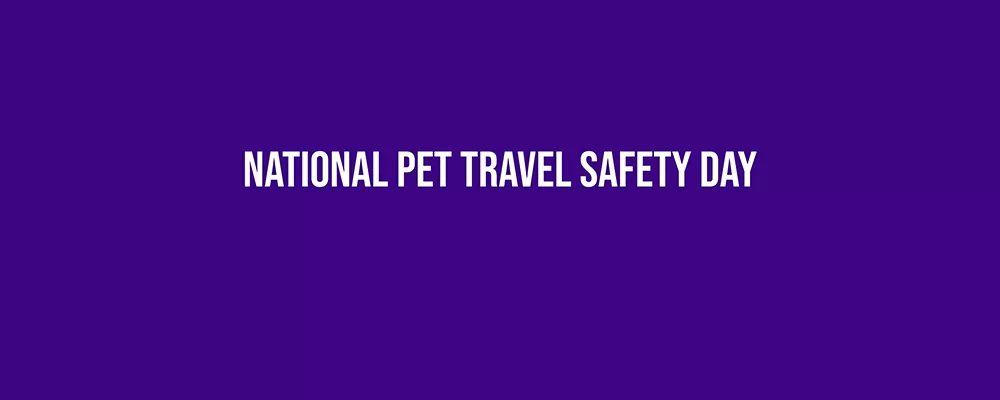 National Pet Travel Safety Day